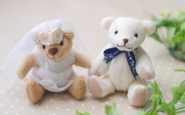 クマ人形の結婚写真,シングルマザー